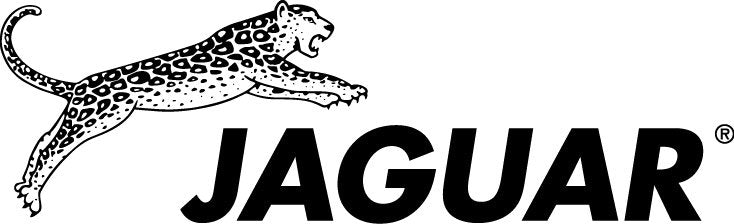 Lace refinement powered by JAGUAR